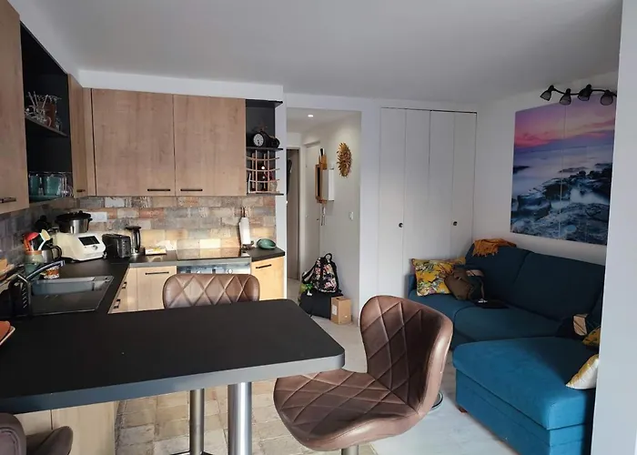 Magnifique Neuf 6 Pers Climatise Grande Terrasse Amenagee Agde