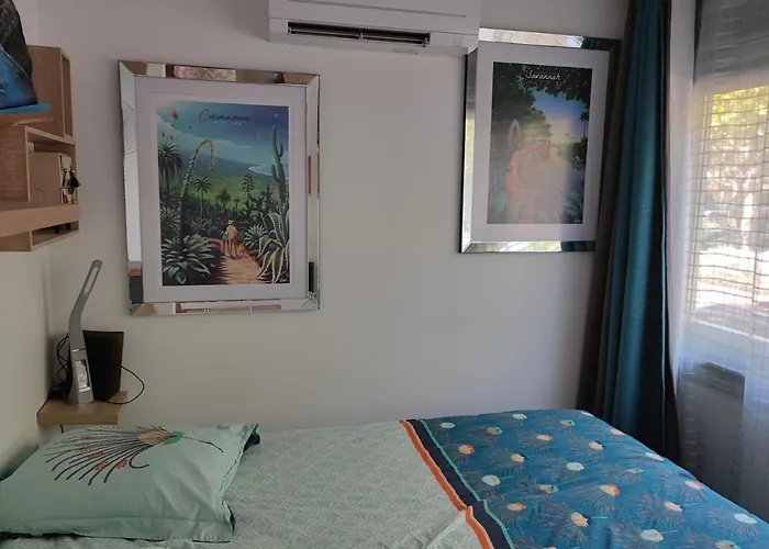 Apartment Magnifique Neuf 6 Pers Climatise Grande Terrasse Amenagee Agde